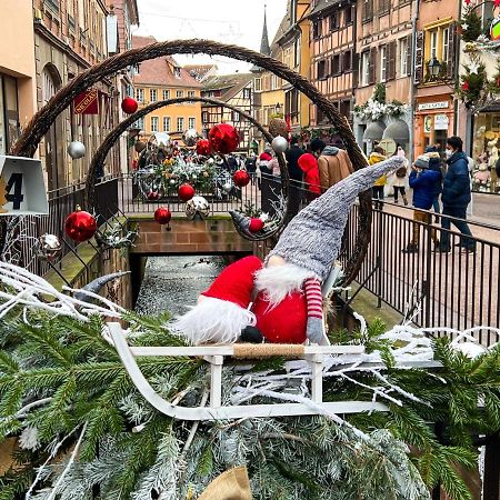 Les Suites Du Cygne Colmar Kültér fotó