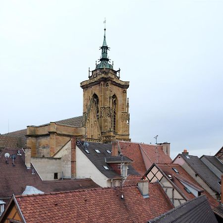 Les Suites Du Cygne Colmar Kültér fotó