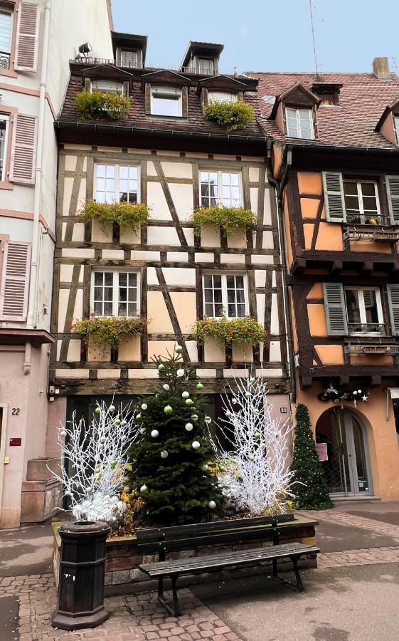 Les Suites Du Cygne Colmar Kültér fotó