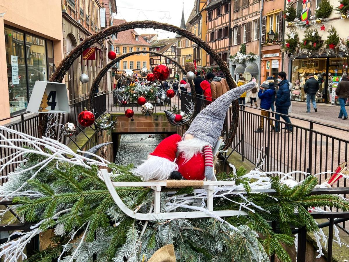 Les Suites Du Cygne Colmar Kültér fotó