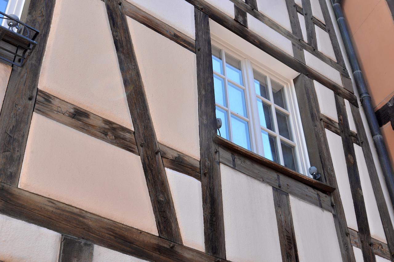 Les Suites Du Cygne Colmar Kültér fotó