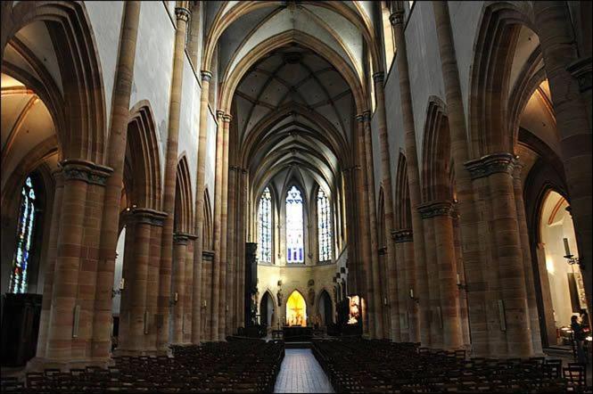 Les Suites Du Cygne Colmar Kültér fotó