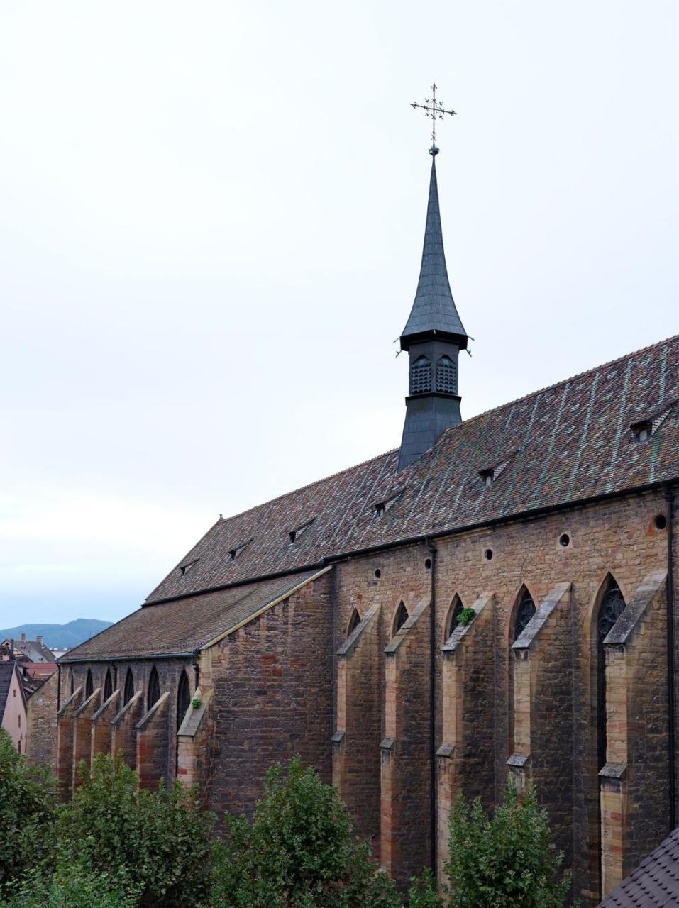 Les Suites Du Cygne Colmar Kültér fotó