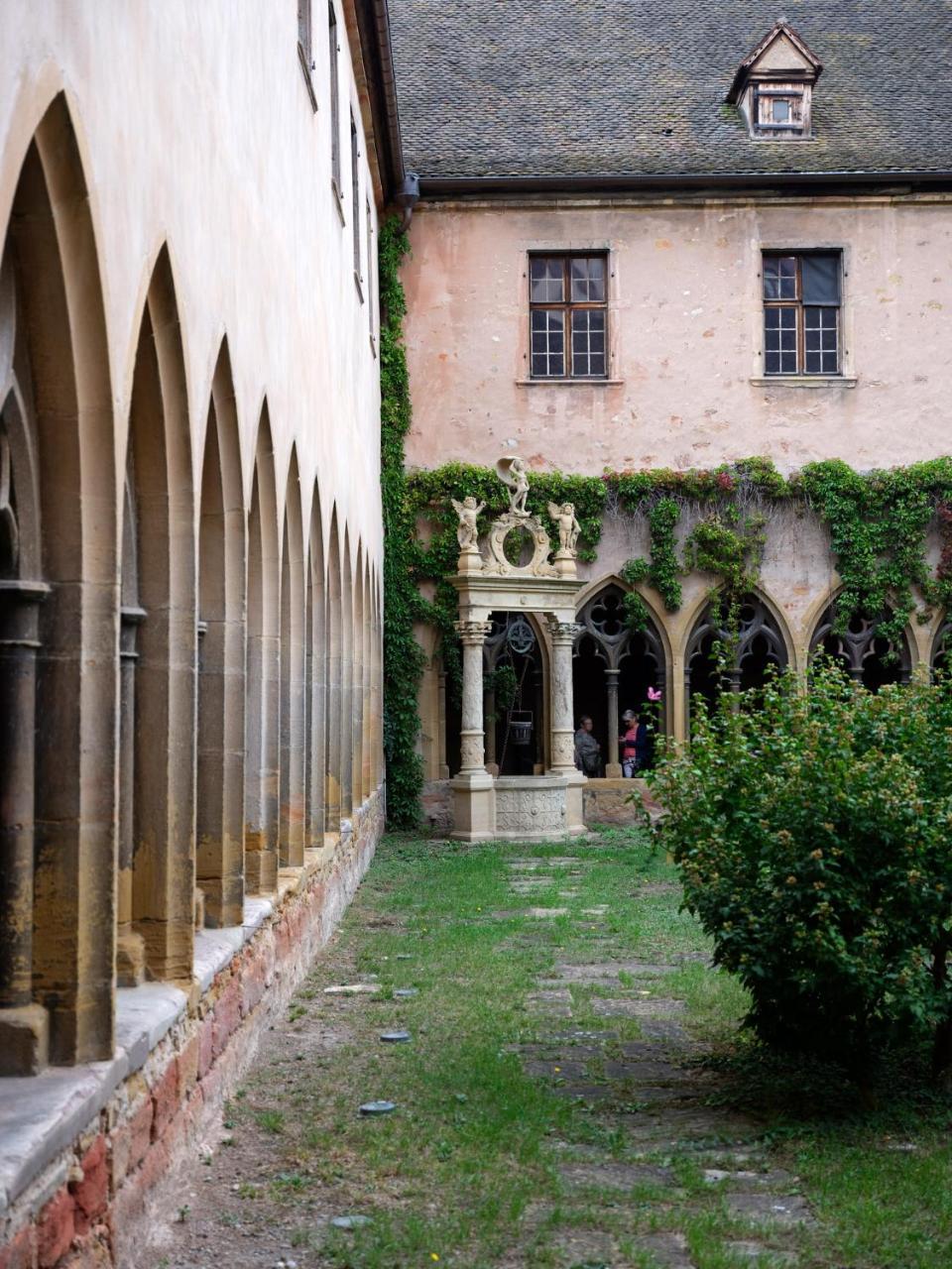 Les Suites Du Cygne Colmar Kültér fotó