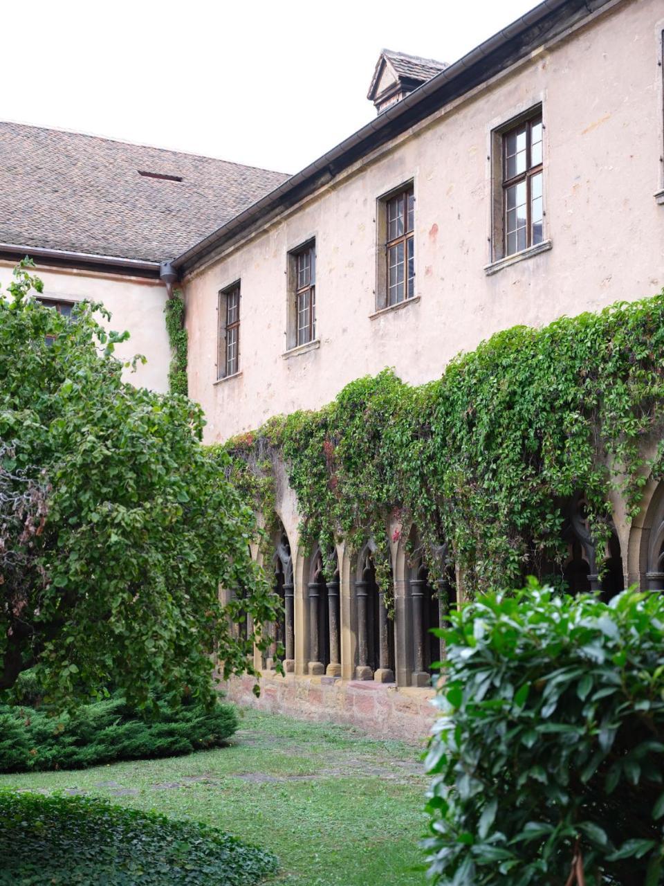 Les Suites Du Cygne Colmar Kültér fotó