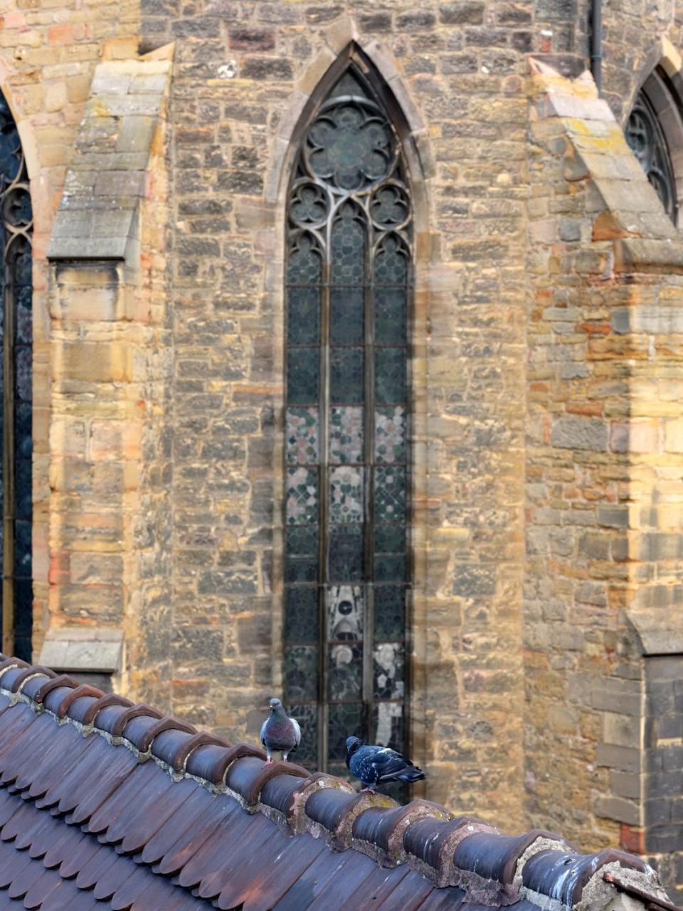 Les Suites Du Cygne Colmar Kültér fotó
